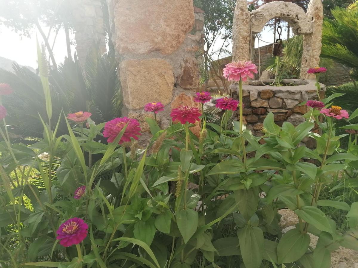 Villa Nonna Nina 卡帕奇 外观 照片